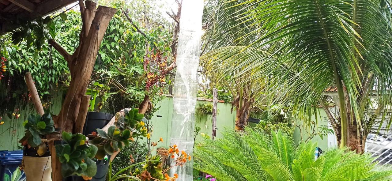 Paraiso Aconchegante Casa Espacosa E Muito Verde Caraguatatuba Esterno foto