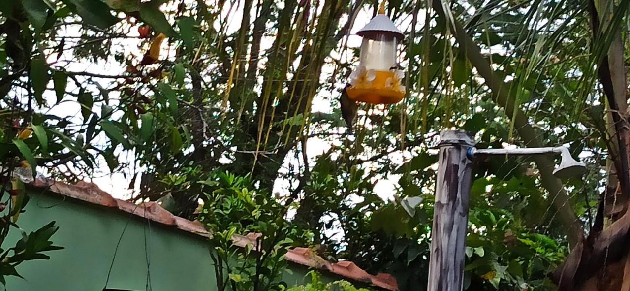 Paraiso Aconchegante Casa Espacosa E Muito Verde Caraguatatuba Esterno foto
